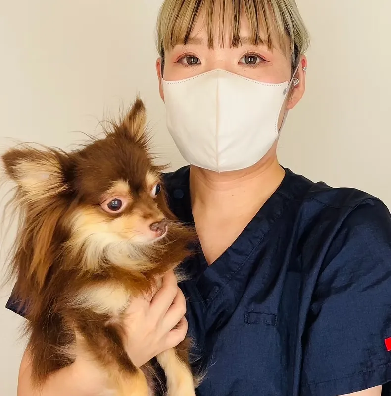 犬の整体 メディセル スタッフ 笠原恵